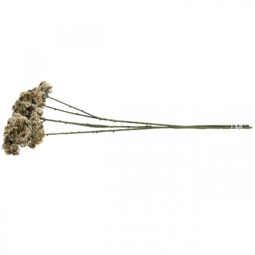 Product Sedum artificial flower sedum cream flower decoration autumn 70cm 3pcs