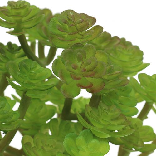 Floristik24 Artificial plants in a pot Artificial Succulent Green H15cm