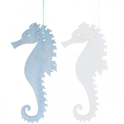 Floristik24 Seahorse to hang blue, white hanger maritime decoration 8pcs