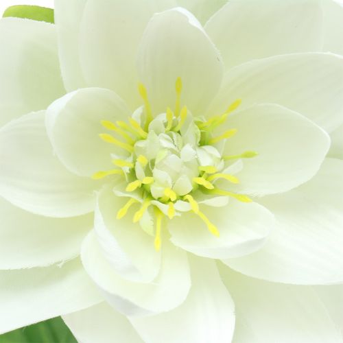 Product Water Lily White 75cm