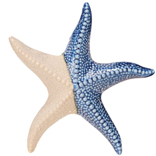Starfish Porcelain Sand Blue Table Decoration Maritime Ø15cm 2pcs