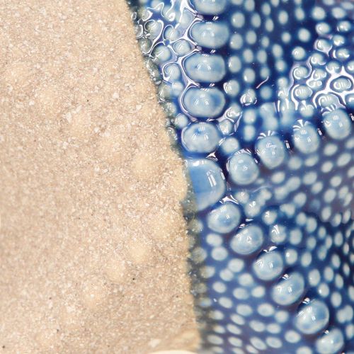 Product Starfish Porcelain Sand Blue Table Decoration Maritime Ø15cm 2pcs