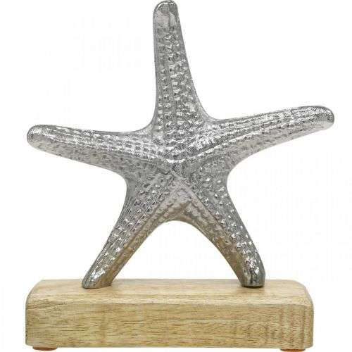 Floristik24 Metal starfish, maritime decoration, decorative sculpture silver, natural colors H18cm