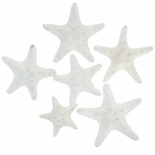 Knobs starfish white 30pcs