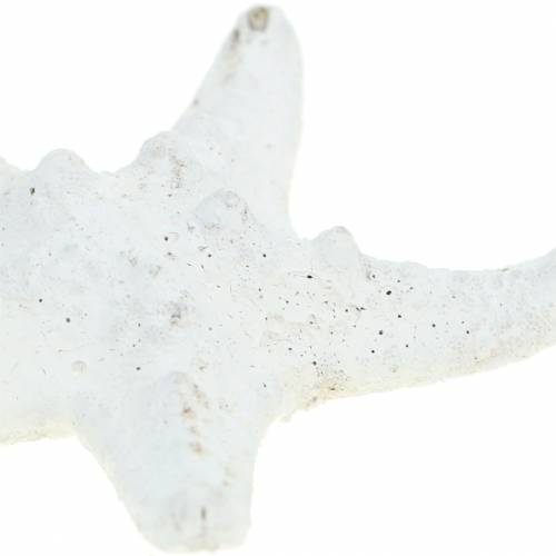 Product Knobs starfish white 30pcs