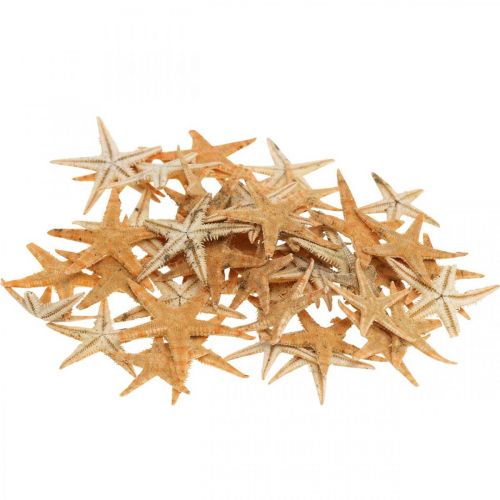 Product Starfish scatter decoration home deco mini starfish nature 2-4cm 50p