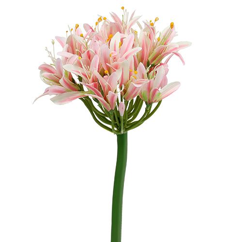 Floristik24 Silk flower agapanthus pink 80cm