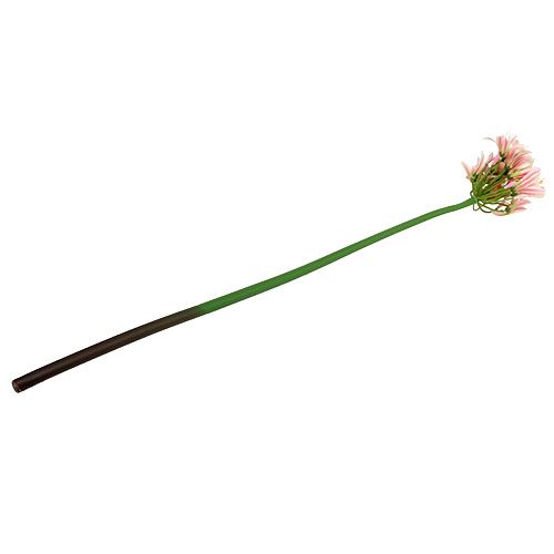 Floristik24 Silk flower agapanthus pink 80cm