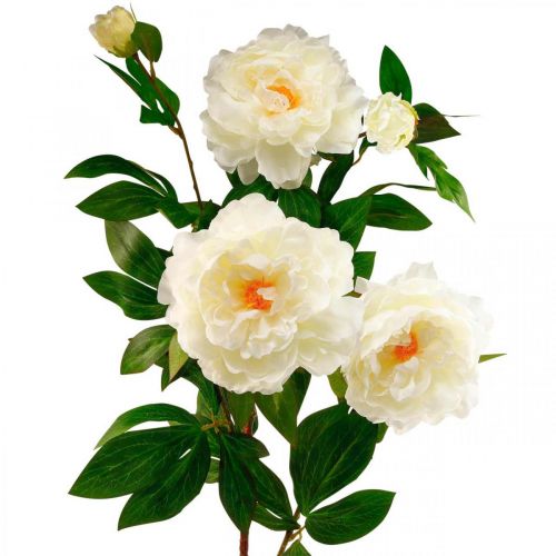 Product Silk flower peony artificial cream white 135cm