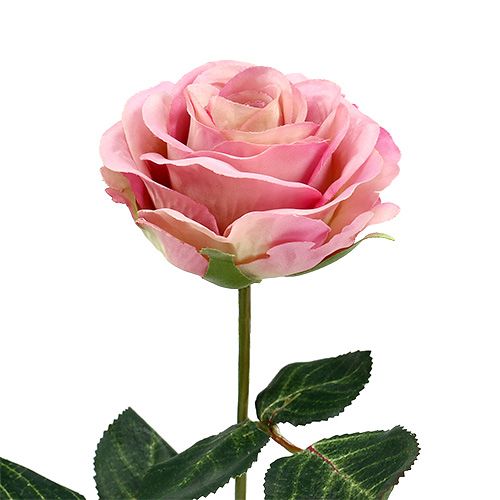Floristik24 Silk flowers rose Ø7cm L37cm dusky pink 6pcs