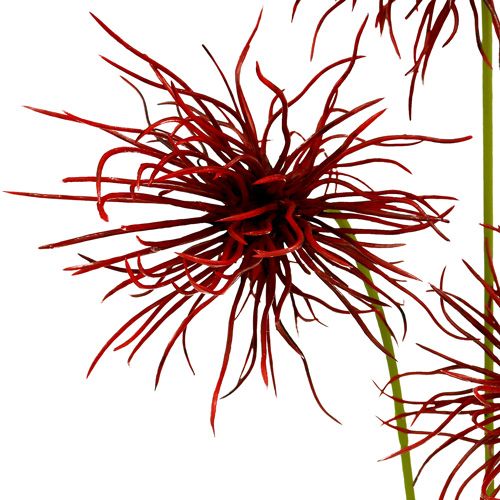Floristik24 Silk flowers Xanthium Bordeaux 64cm 4pcs