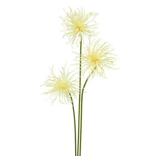 Floristik24 Silk flowers Xanthium cream 63cm 4pcs