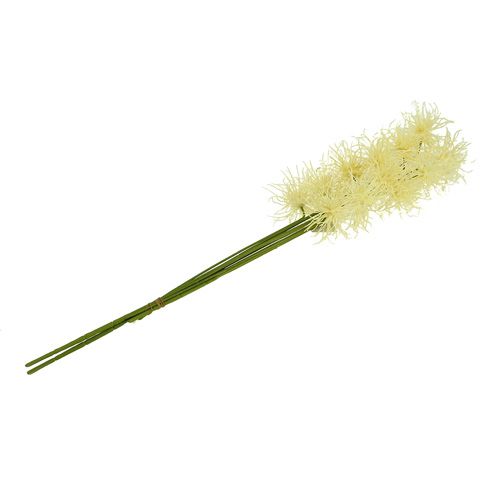 Floristik24 Silk flowers Xanthium cream 63cm 4pcs