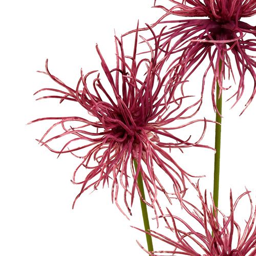 Floristik24 Silk flowers Xanthium erika 63cm 4pcs