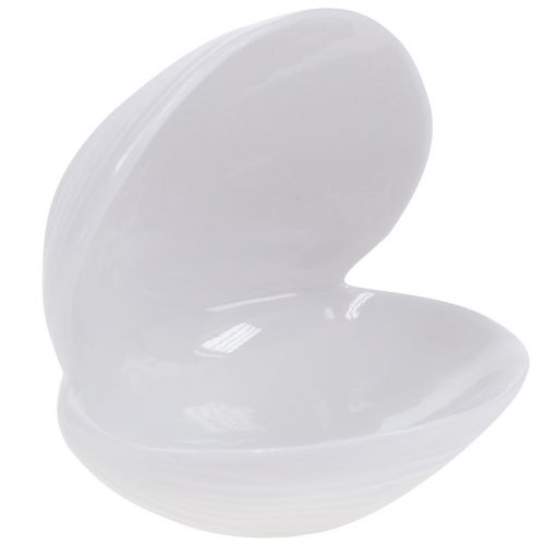 Floristik24 Soap dish shell 12cm x 10.5cm x 11cm white