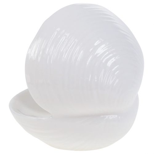 Product Soap dish shell 12cm x 10.5cm x 11cm white