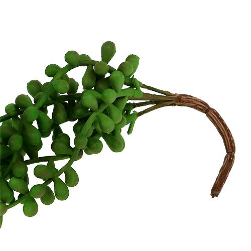Floristik24 Senecio hanger 36cm green