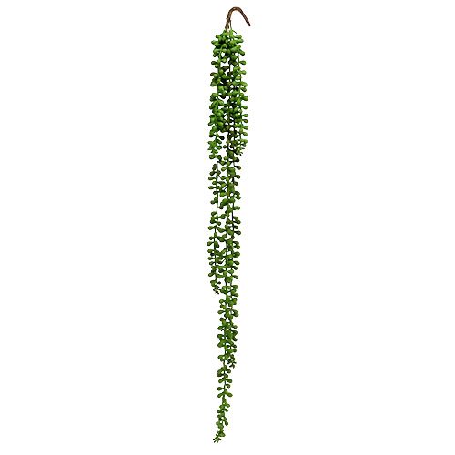 Floristik24 Senecio hanger 75cm green