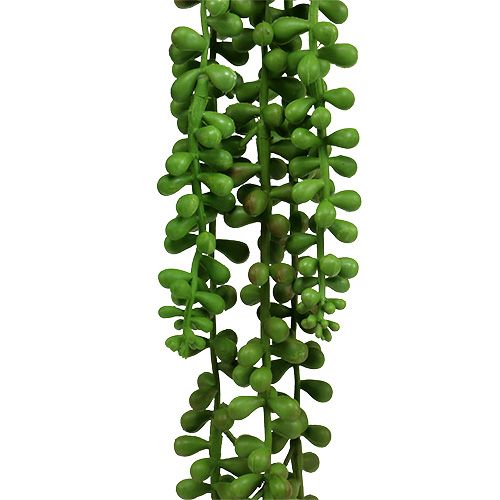 Product Senecio hanger 75cm green