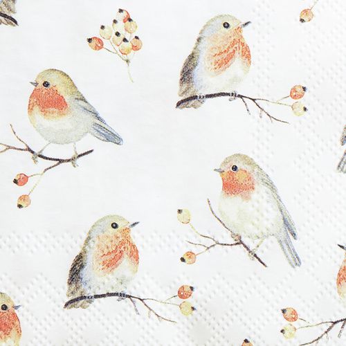 Floristik24 Napkins Autumn Robin Rosehips 25x25cm 20 pcs