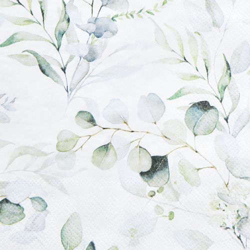Floristik24 Napkins motif eucalyptus white green 33x33cm 20 pcs