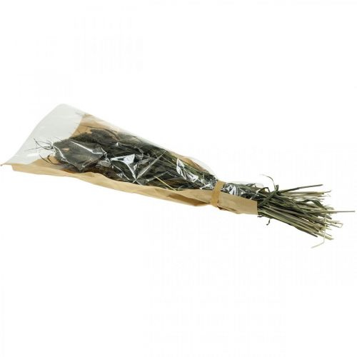 Product Dried Flowers Setaria Anthracite Natural Bristle Millet Bunch 100g