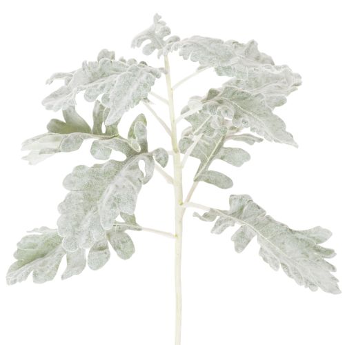 Artificial Silver Dust Senecio Spray, Detail-Finished, 45cm, Set of 3 | Floristik24.co.uk