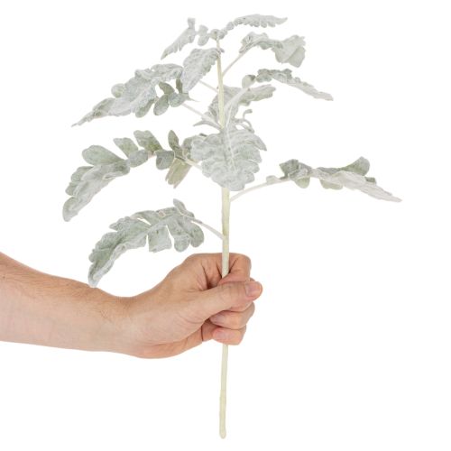 Artificial Silver Dust Senecio Spray, Detail-Finished, 45cm, Set of 3 | Floristik24.co.uk