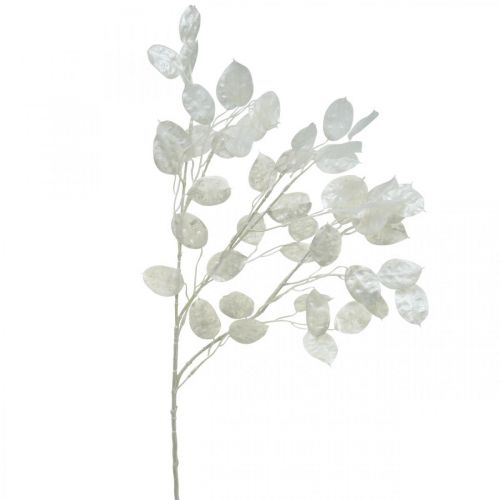 Floristik24 Decorative branch silver leaf white Lunaria branch artificial branch 70cm