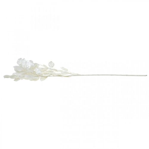 Floristik24 Decorative branch silver leaf white Lunaria branch artificial branch 70cm