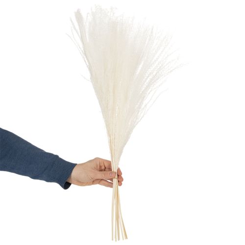 Product Dried flowers, silver grass. Elegant natural decoration for home and office. 70cm, 10 pieces.