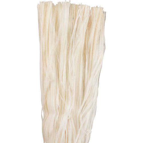 Floristik24 Vegetable natural fibers skeleton ribbon natural ribbon decoration 180g