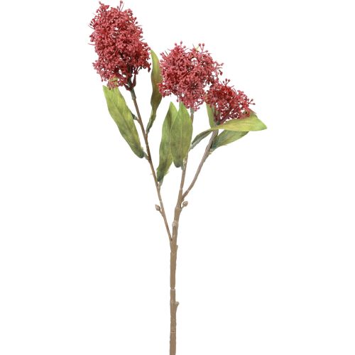 Floristik24 Skimmie Skimmia Japonica Artificial Flowers Burgundy DryLook L59cm