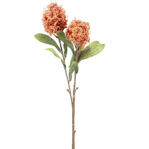 Floristik24 Skimmie Skimmia Japonica Artificial Flowers Orange DryLook L59cm