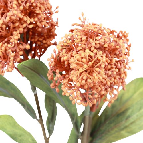 Product Skimmie Skimmia Japonica Artificial Flowers Orange DryLook L59cm