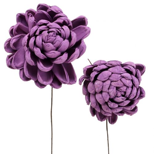Floristik24 Flowers on the wire dark purple 8cm 12pcs