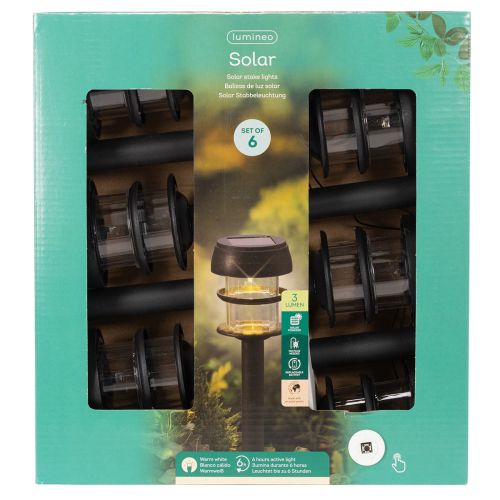 Solar garden lights with ground spike, outdoor lamps for garden paths, 35cm, 6 pieces | Floristik24.co.uk