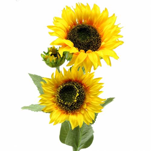 Floristik24 Sunflower silk flower 66cm
