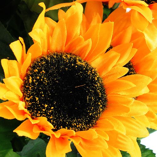 Floristik24 Sunflower bush 40cm