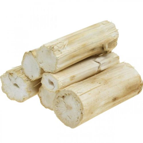 Floristik24 Sunflower stem bleached 10cm 24 pcs