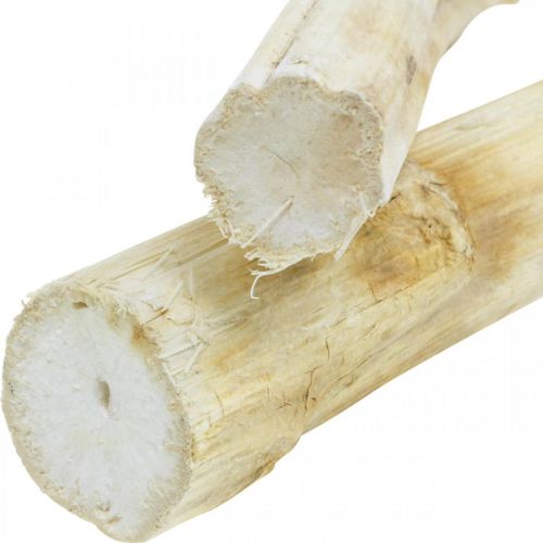 Product Sunflower stem 20cm white 12 pcs
