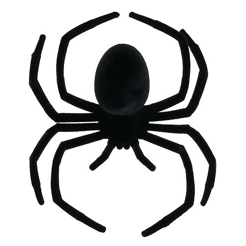 Floristik24 Spider black 16cm flocked
