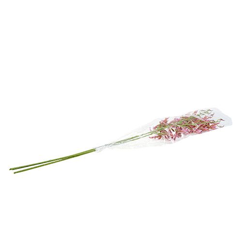 Floristik24 Spider orchids pink-orange 108cm 3pcs