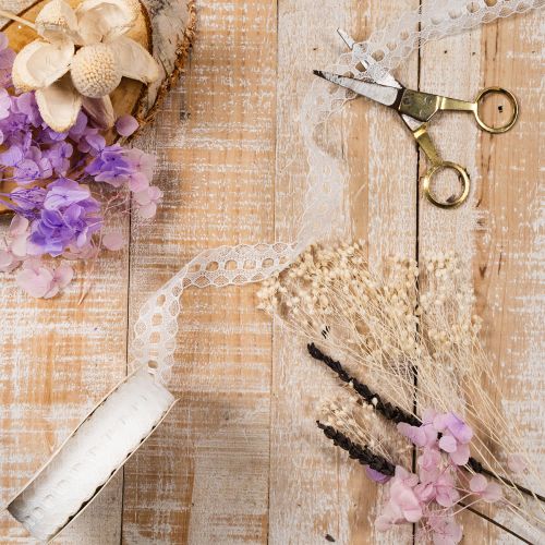 Cotton Lace Ribbon with Delicate Border 25mm x 10m White | Floristik24.co.uk