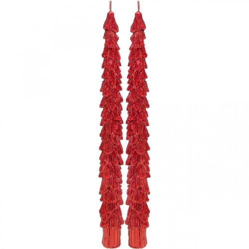 Floristik24 Tapered candles fir red 30mm × 260mm 2pcs