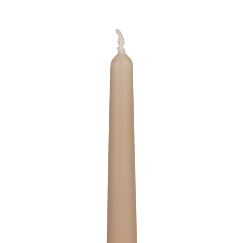 Floristik24 Taper Candles Wenzel Candles Beige 250/23mm 12 Pcs