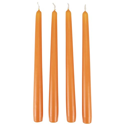 Floristik24 Taper Candles Wenzel Candles Orange 250/23mm 12 Pcs