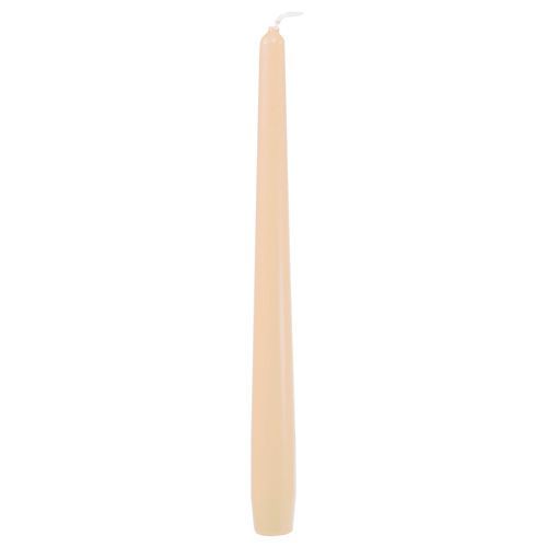 Floristik24 Taper candles 250/23 cream 12pcs.