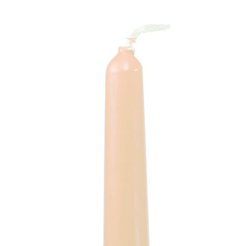 Floristik24 Taper candles 250/23 cream 12pcs.