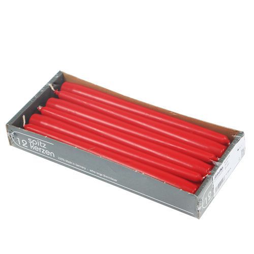 Floristik24 Taper candles 250/23 ruby (12pcs.)